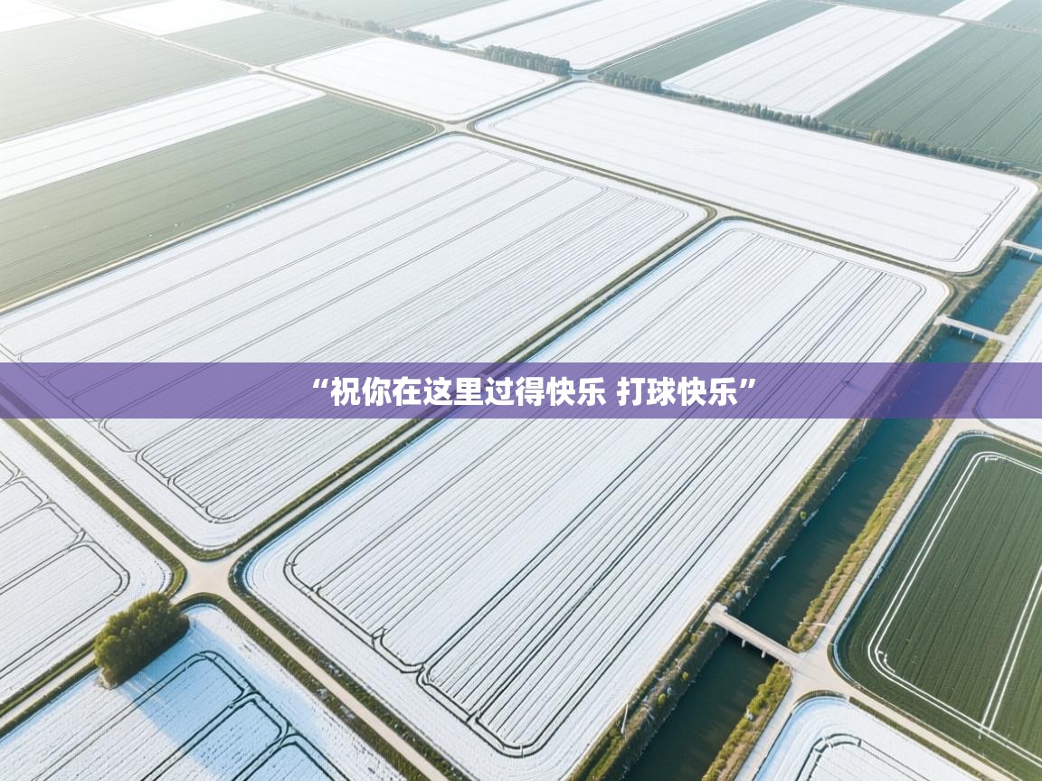 ld乐动体育app官方网站-“祝你在这里过得快乐 打球快乐”  第3张