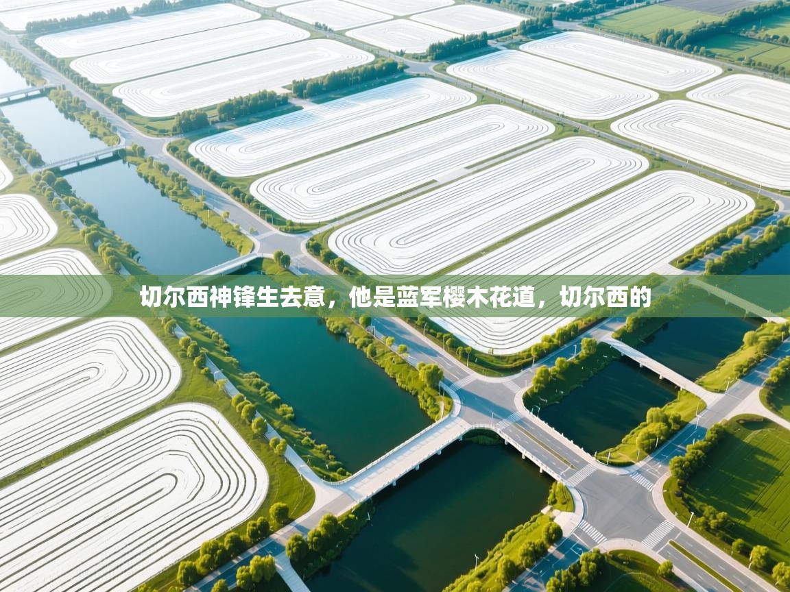 乐动体育app-切尔西神锋生去意，他是蓝军樱木花道，切尔西的  第1张