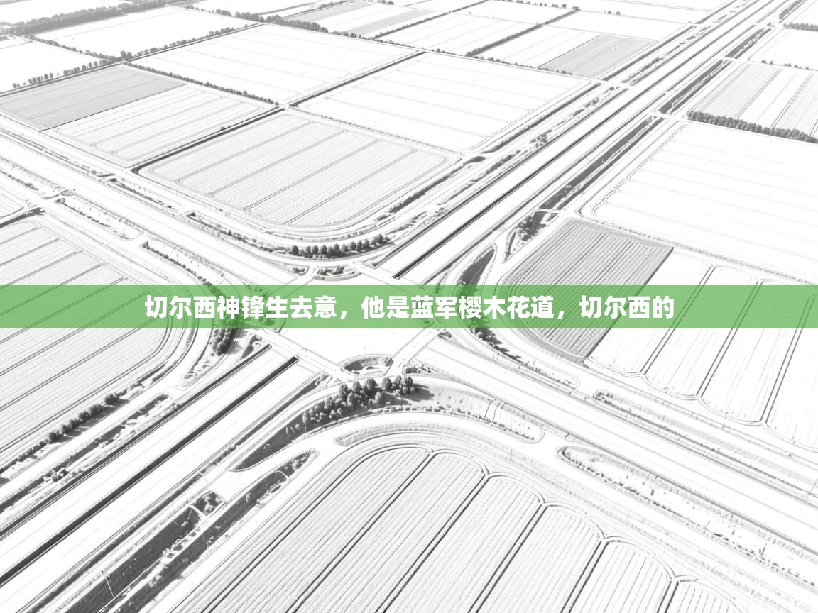 乐动体育app-切尔西神锋生去意，他是蓝军樱木花道，切尔西的  第4张