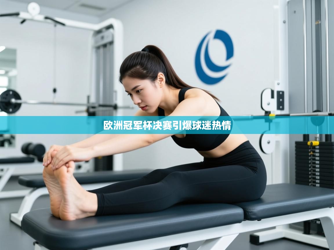 ld乐动体育app官网-欧洲冠军杯决赛引爆球迷热情  第2张