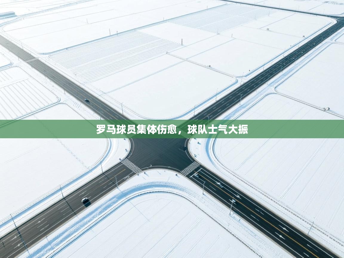 乐动体育app下载教程-罗马球员集体伤愈，球队士气大振  第1张