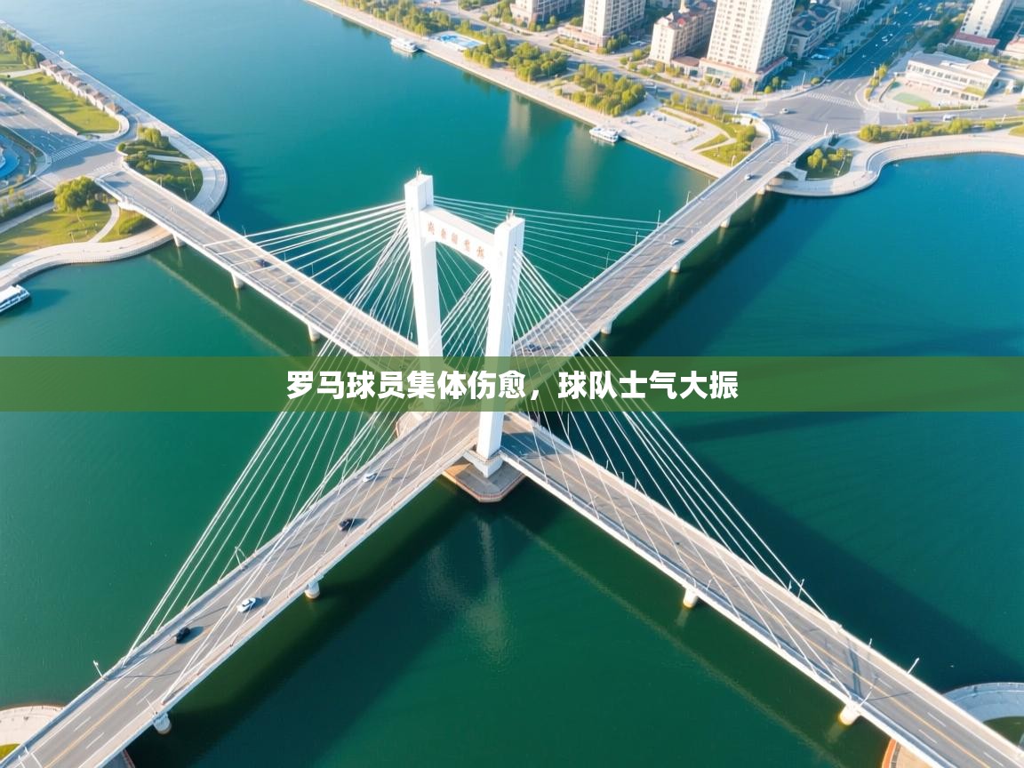 乐动体育app下载教程-罗马球员集体伤愈，球队士气大振  第3张