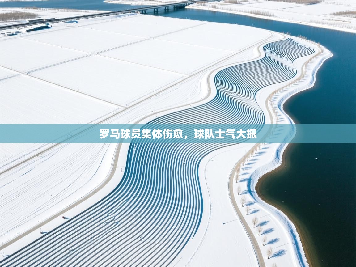 乐动体育app下载教程-罗马球员集体伤愈，球队士气大振  第4张